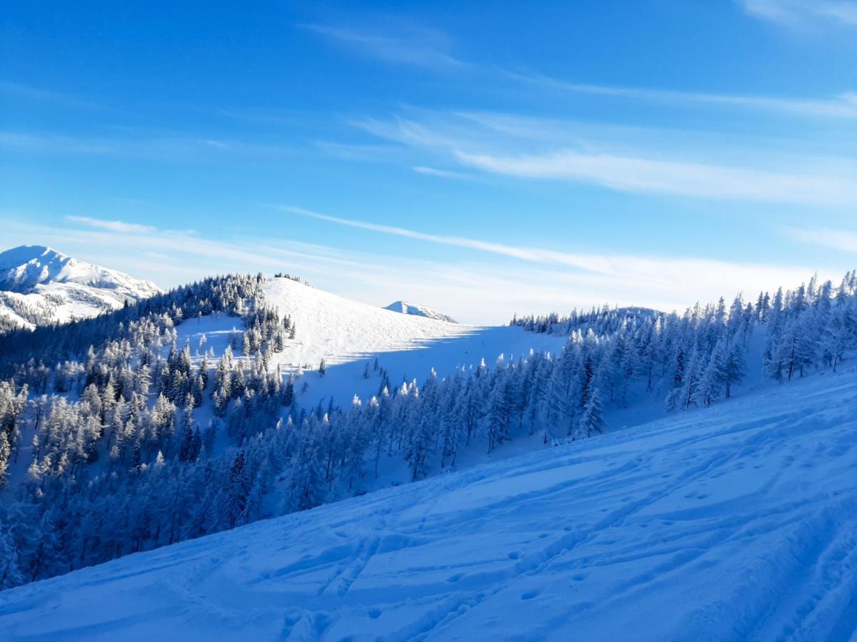 Romantiksuite Bei Seitberger Frauenberg Екстериор снимка
