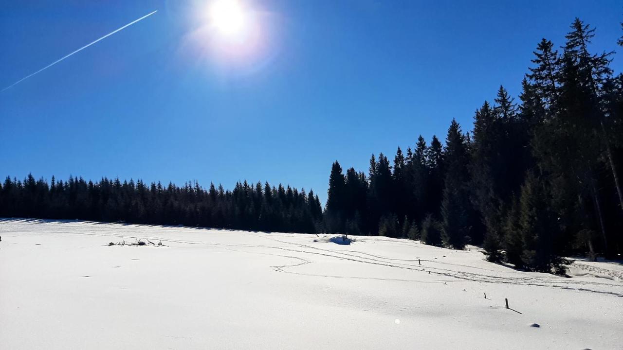 Romantiksuite Bei Seitberger Frauenberg Екстериор снимка