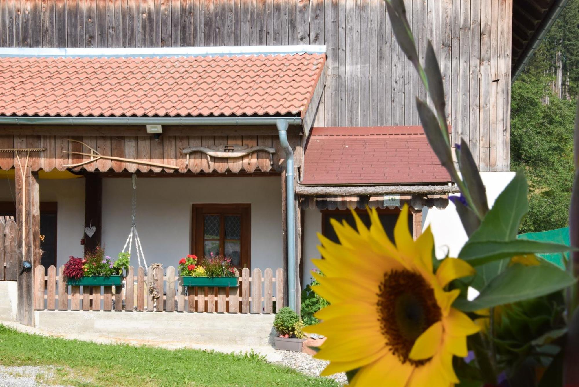 Romantiksuite Bei Seitberger Frauenberg Екстериор снимка